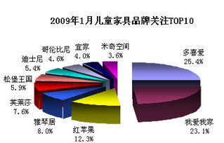 2009年1月家具市场品牌口碑调查研究报告