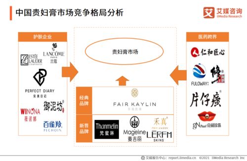 2020-2021年中国贵妇膏市场品牌分析及用户调研报告